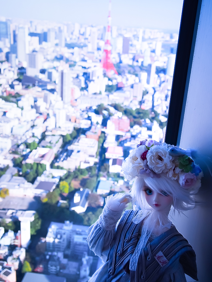 六本木ヒルズの展望台から東京タワー